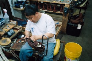 3651346237_5b4299135f_b